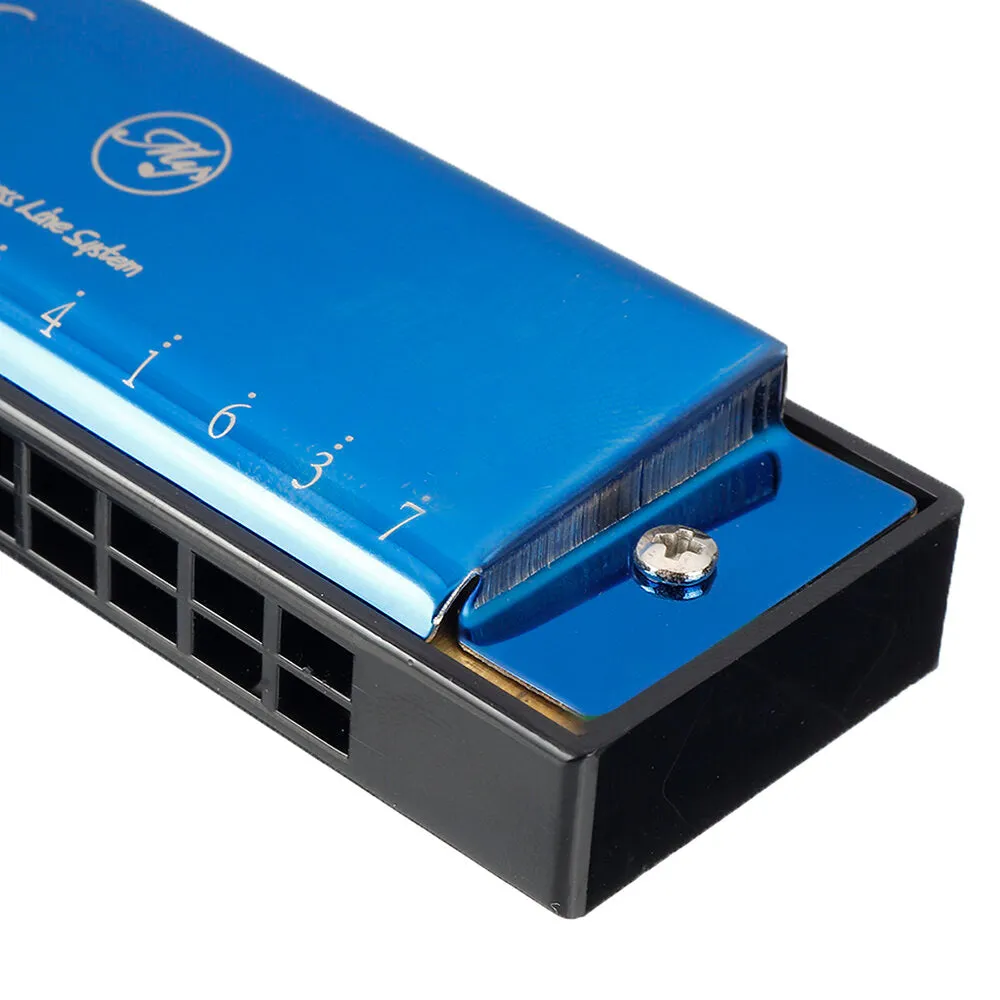 24 Holes C Key Harmonica Mouth Organ with Clean Cloth Gift for Professional Player Beginner Students Kids Music Fan
