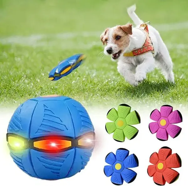 AirBall - Interactive Ball for Dogs