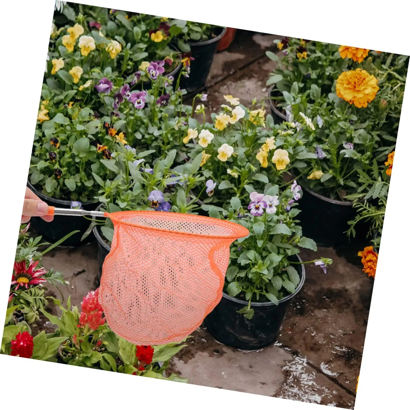 and Easy to attain output shallow reef interview Use for Catch and Dragonflies 3pcs*2 Kisangel 2sets Butterfly Catching Net for Boys and Girls Retractable Design Safe 