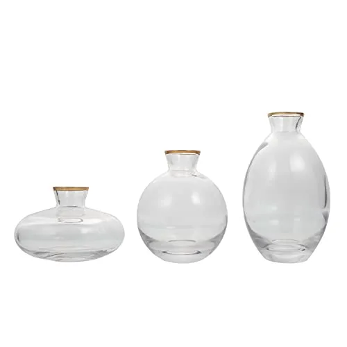 Artibetter 3Pcs Clear Glass Flower Vase Small Mini Table Floral Vase Tiny Flower Arrangement Container Flower Pot Bottle Flower Plant Holder for Doll House Home Decor Centerpieces
