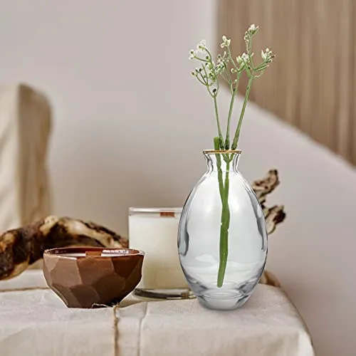 Artibetter 3Pcs Clear Glass Flower Vase Small Mini Table Floral Vase Tiny Flower Arrangement Container Flower Pot Bottle Flower Plant Holder for Doll House Home Decor Centerpieces