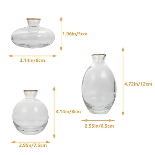 Artibetter 3Pcs Clear Glass Flower Vase Small Mini Table Floral Vase Tiny Flower Arrangement Container Flower Pot Bottle Flower Plant Holder for Doll House Home Decor Centerpieces