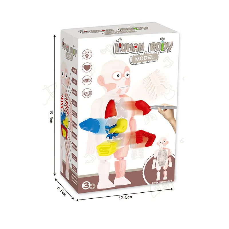 Britenway Body Parts Game Organ Assembled Toys for Boys Girls