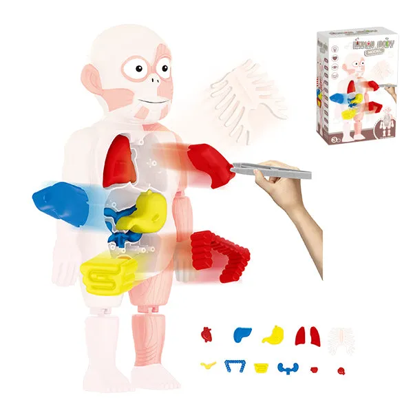 Britenway Body Parts Game Organ Assembled Toys for Boys Girls