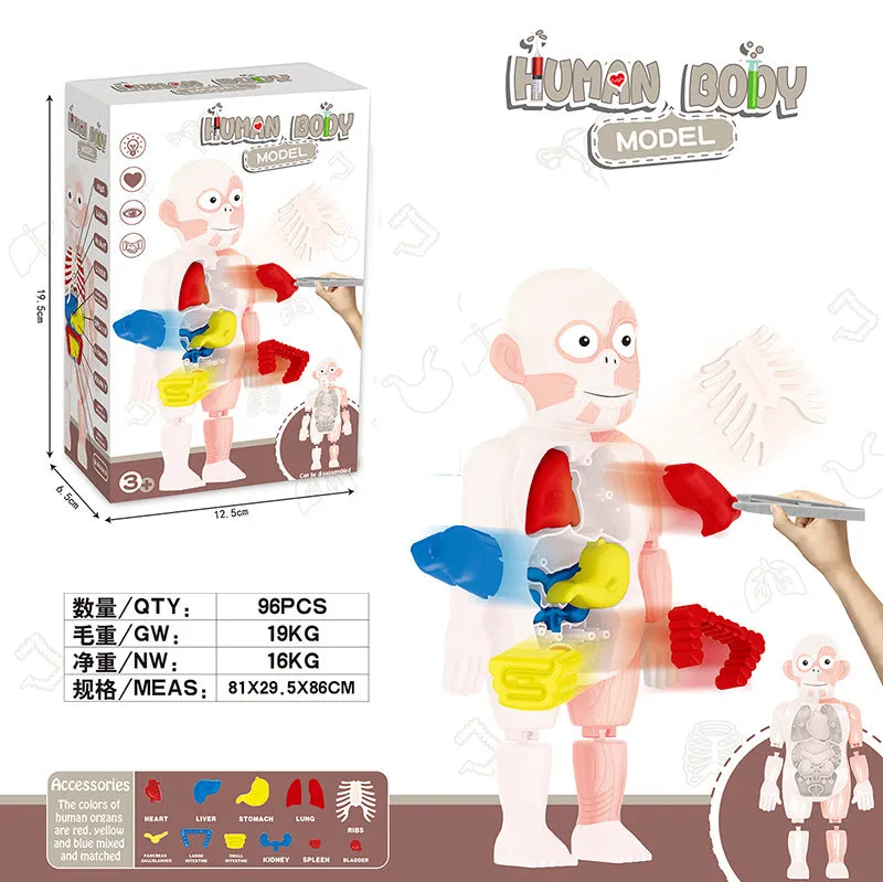 Britenway Body Parts Game Organ Assembled Toys for Boys Girls