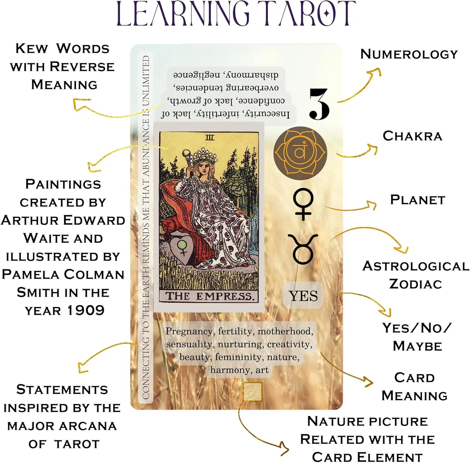 Cauldron Tarot Cards for Beginners, Learning Tarot Cards with Meanings on Them, understandable sort for Beginners, Training Deck Witchy 