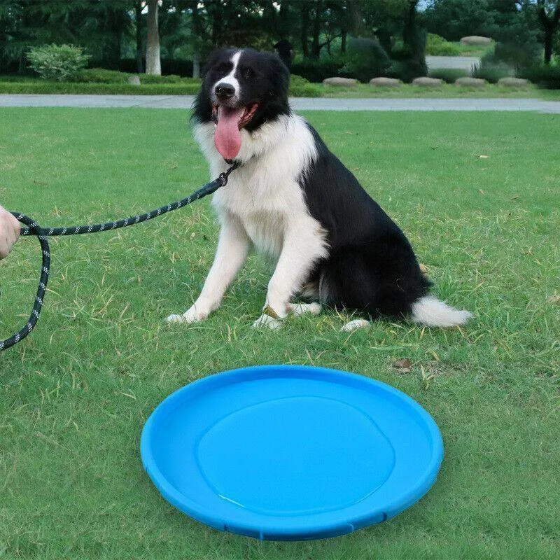 Dog Frisbee Rubber Outdoor Training Toy 6 Colours