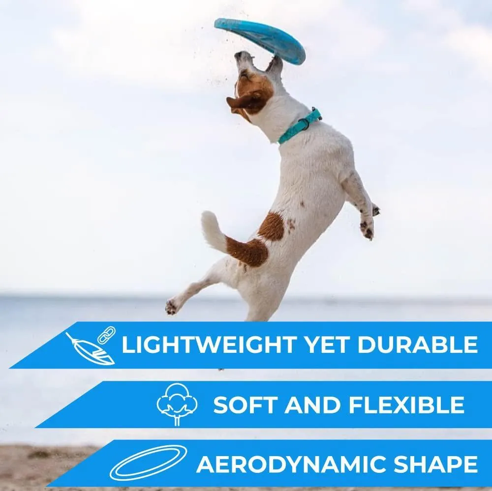 Dog Frisbee.