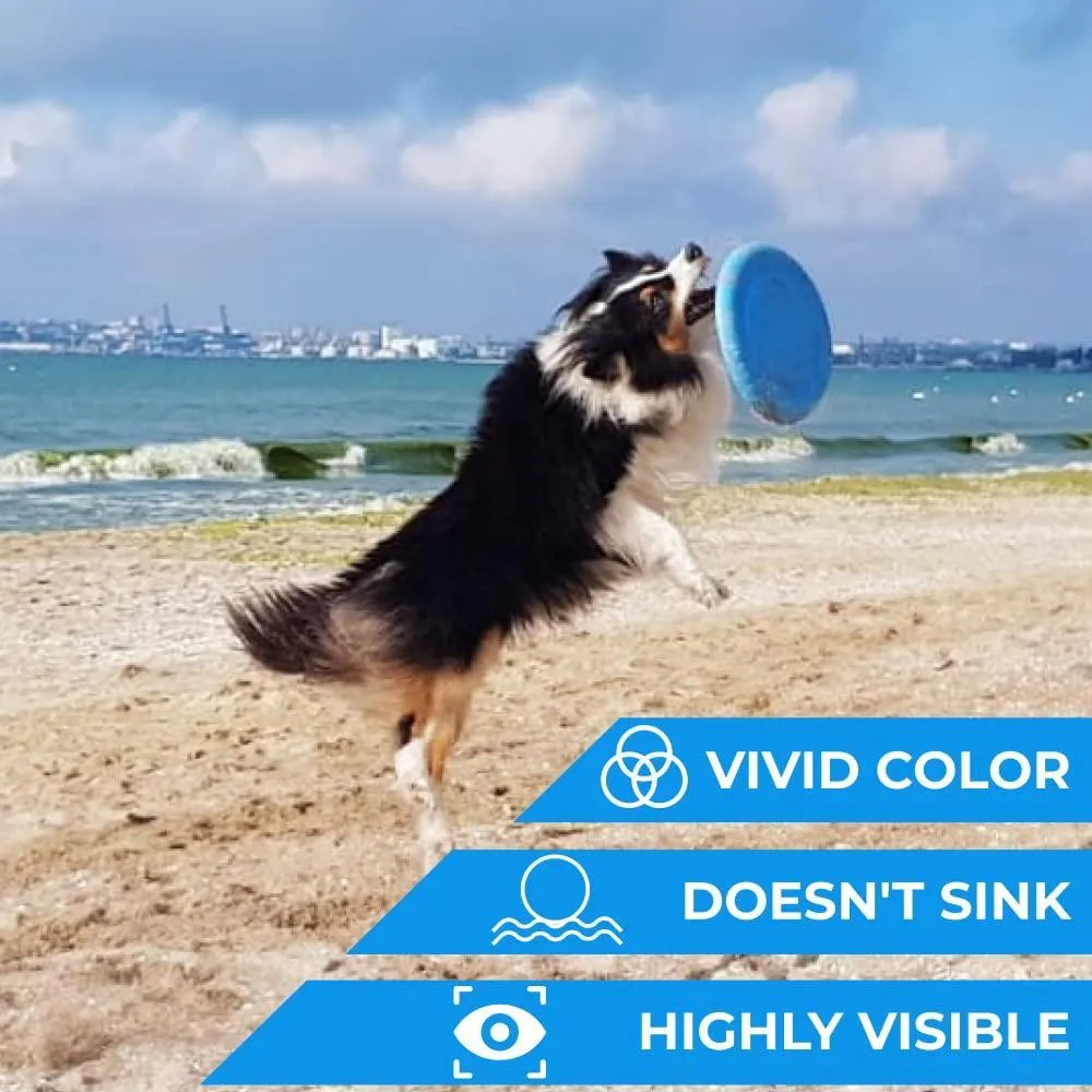 Dog Frisbee.