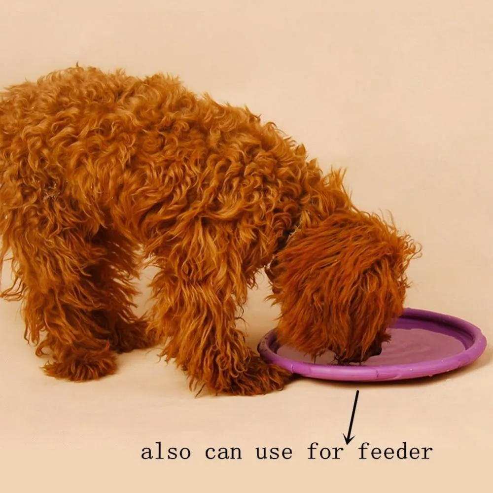 Dog-O-Soar Flying Disc | Frisbee Interactive Toy