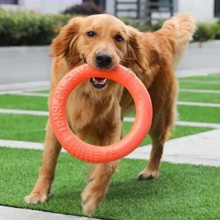 Dog Ring Toy by Poppy Lee Lane
