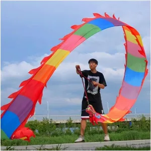 Dragon Dance Interesting$ 6m Chinese Dragon Dance 3D Dragon Ribbon Streamer Chinese Dragon Dance proportionately commercial opportunity Stage Performance Chinese New Year Dragon Dance Fitness 