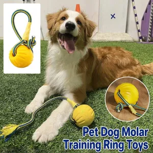 Durable Floating Dog Frisbee for Outdoor Fun and Teeth Cleaning