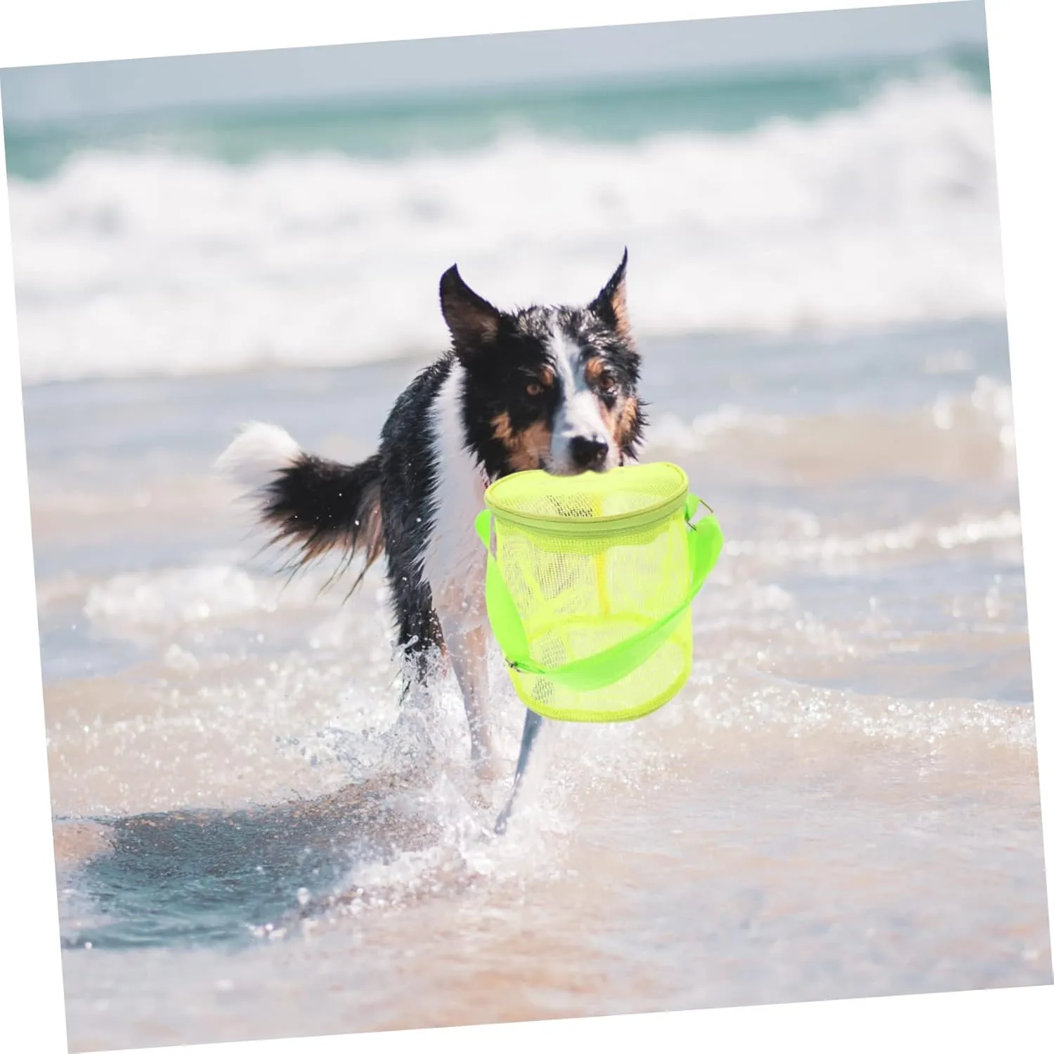 Essentials - High Capacity PVC Child Essentials Backpack 3-Pack Beach Storage Bags - Toddler Beach Toys jaw gorgeous Cage Mesh Shell Bags for Picking Up Shells, Snacks, 
