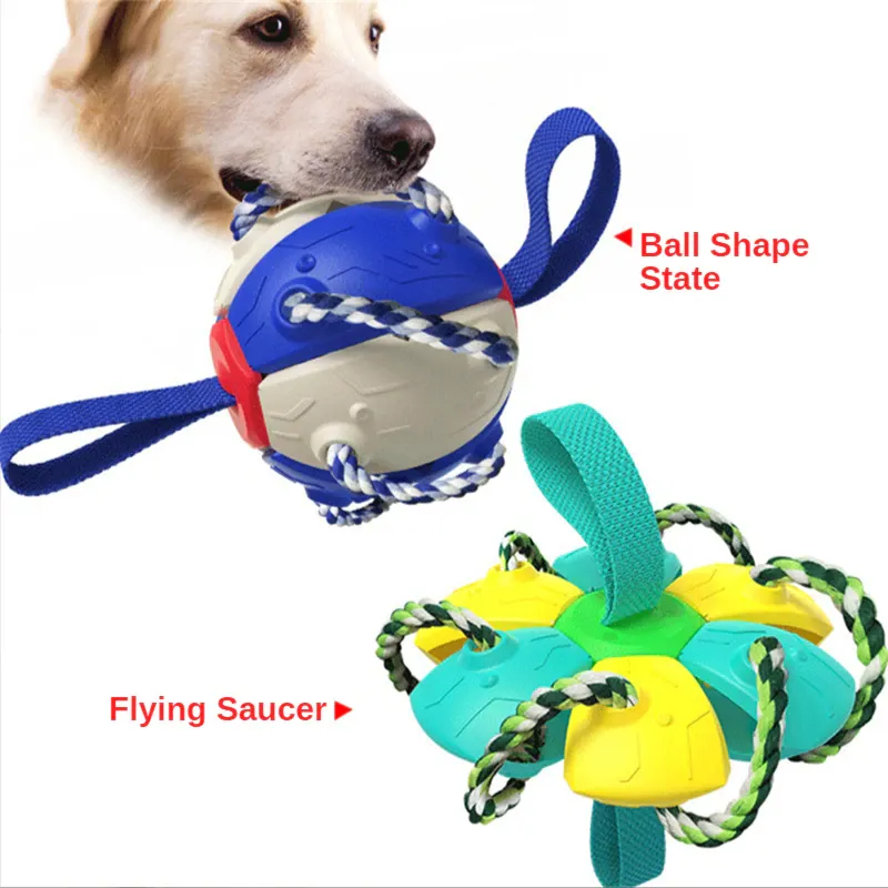 Foldable Ball Dog Toy Outdoor