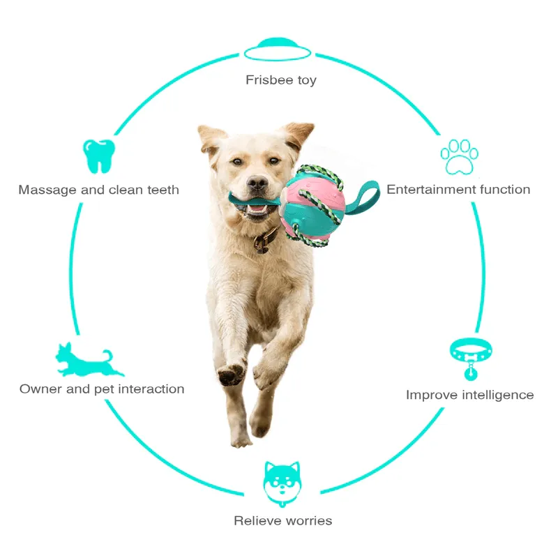 Foldable Ball Dog Toy Outdoor