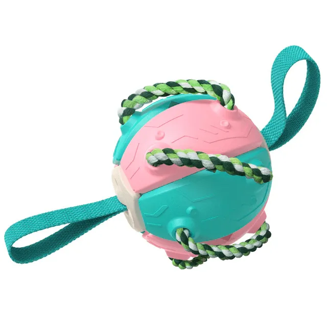 Foldable Ball Dog Toy Outdoor