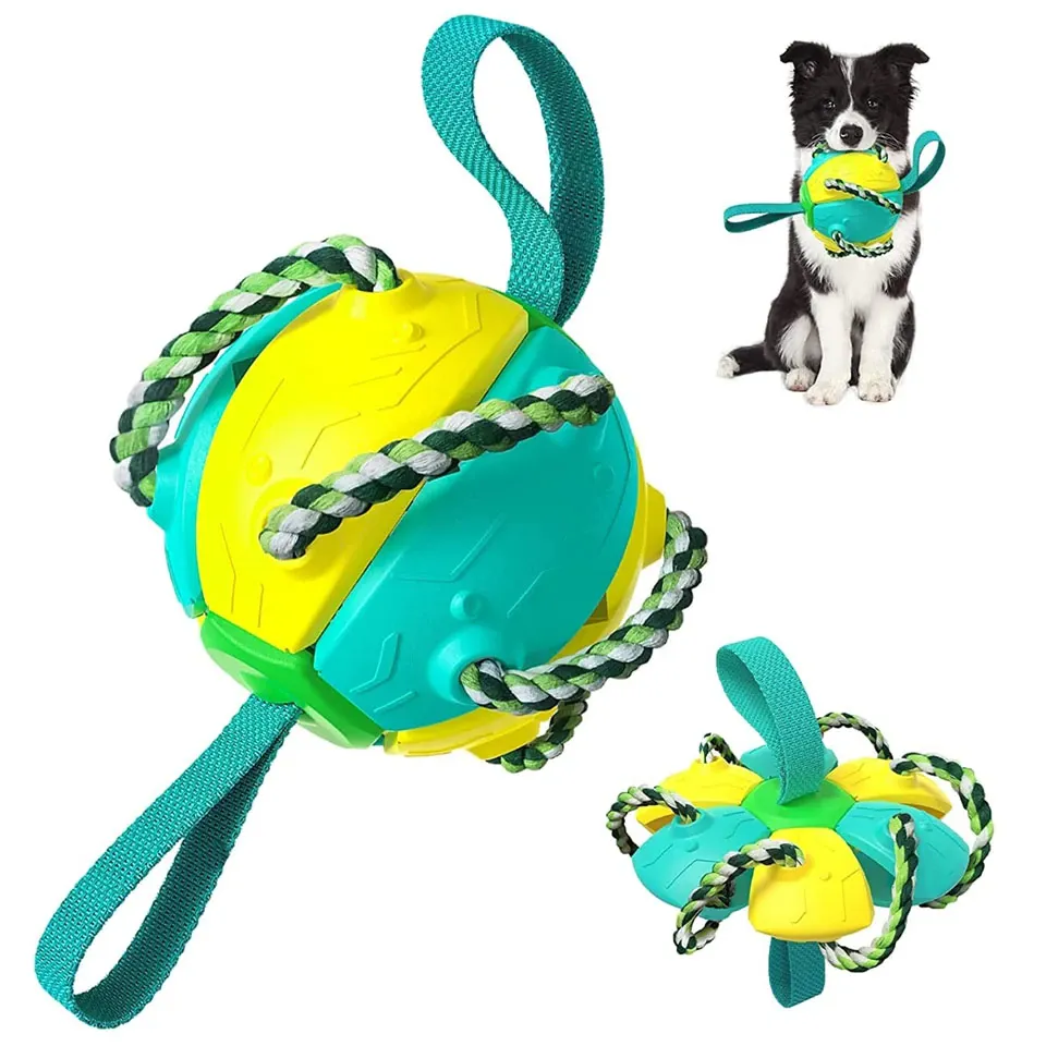 Foldable Ball Dog Toy Outdoor
