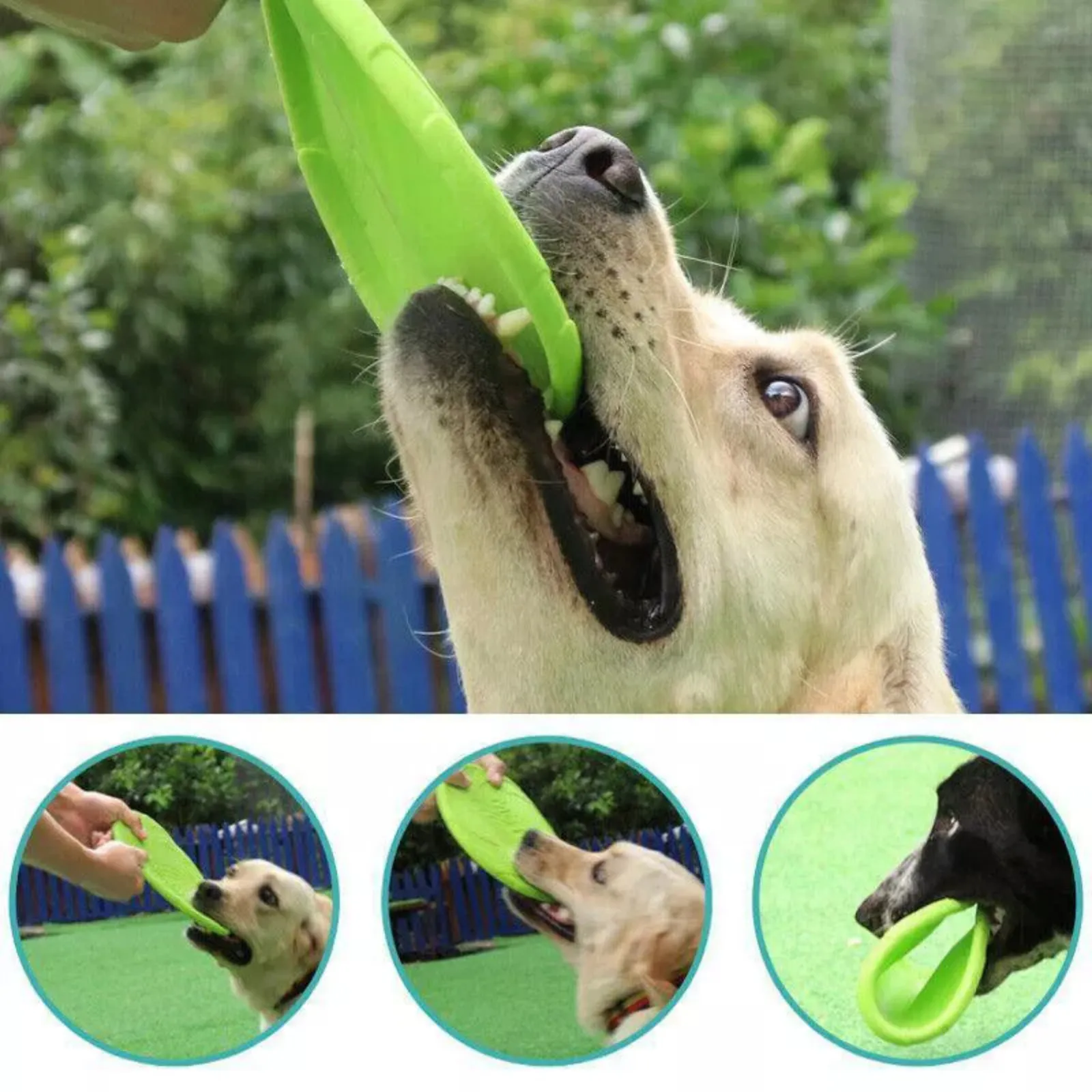 Green Puppy Training Durable Rubber Dog Frisbee Toys