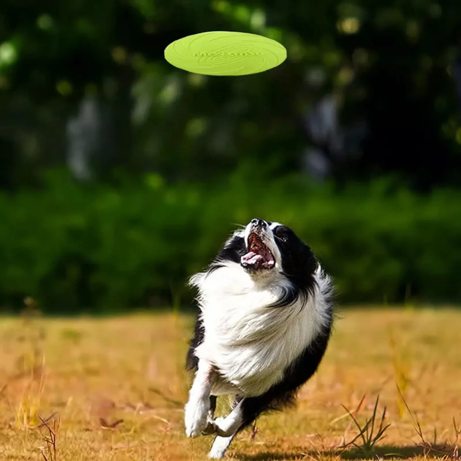 Green Puppy Training Durable Rubber Dog Frisbee Toys