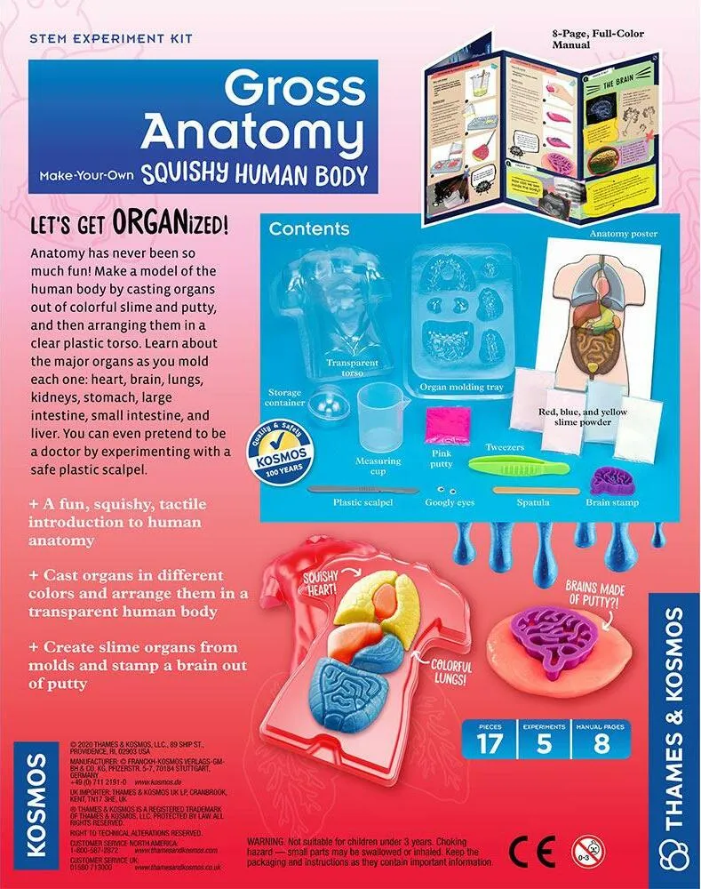 Gross Anatomy: Make-your-own Squishy Human Body Age 8 