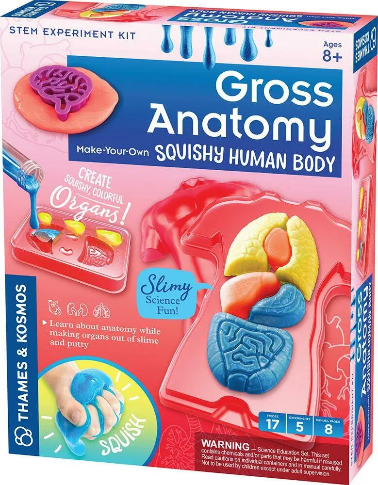 Gross Anatomy: Make-your-own Squishy Human Body Age 8 
