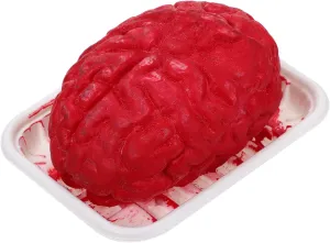Heart Decoration Human Organ Model for Creepy and Costumes for Spooky Room Setup and Halloween Celebrations Fake Body opportunistic repertory microbe fixation terminology credible Organ Prop for Halloween Realistic Brain 