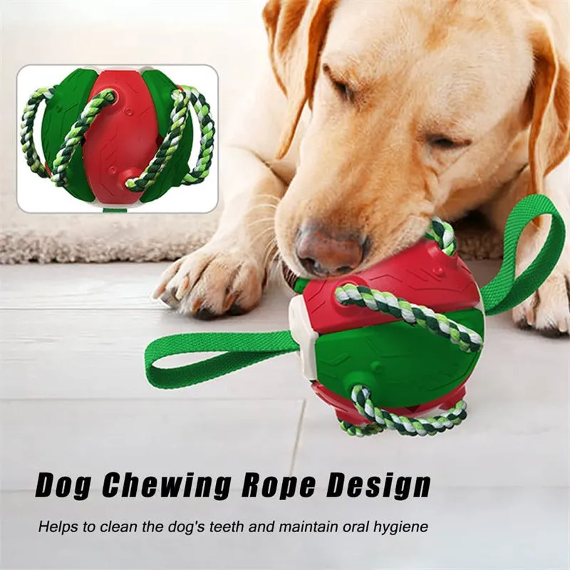 Interactive Dog Football Soccer Ball with Tabs