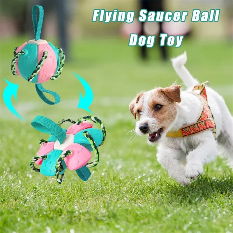 Interactive Dog Football Soccer Ball with Tabs