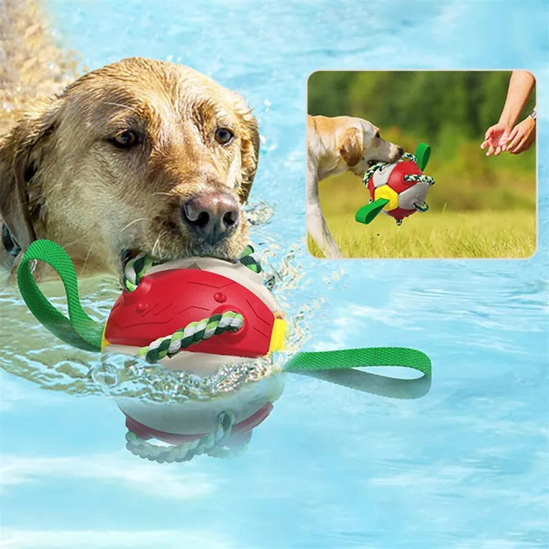 Interactive Dog Football Soccer Ball with Tabs