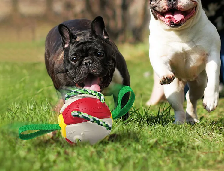 Interactive Dog Football Soccer Ball with Tabs