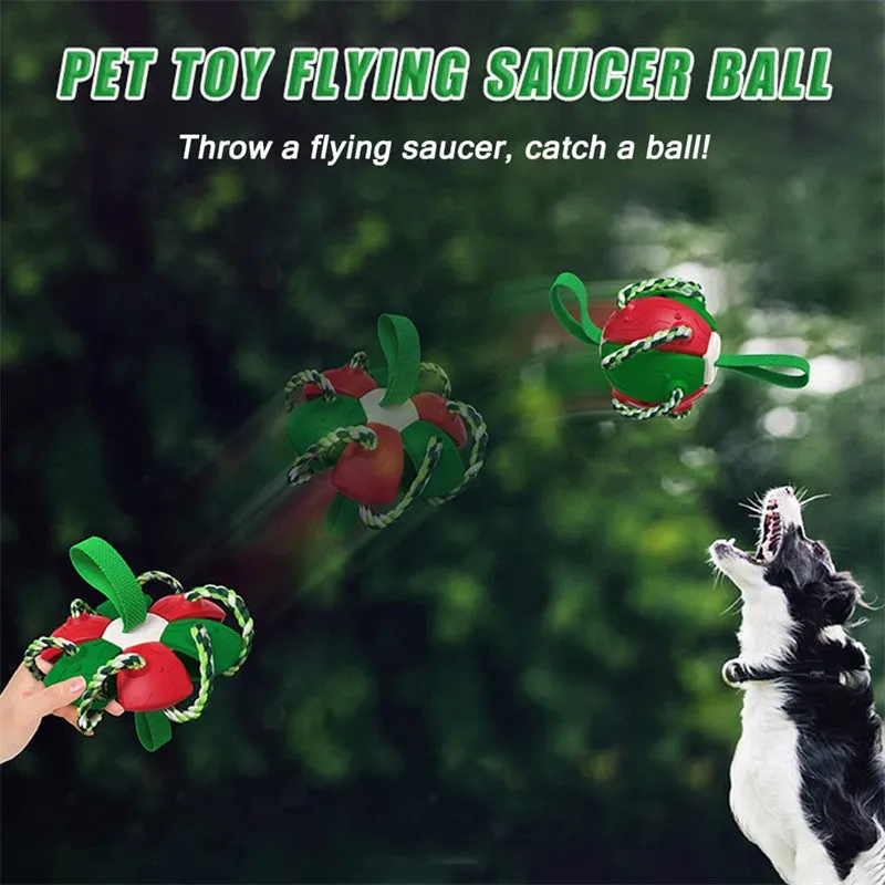 Interactive Dog Football Soccer Ball with Tabs