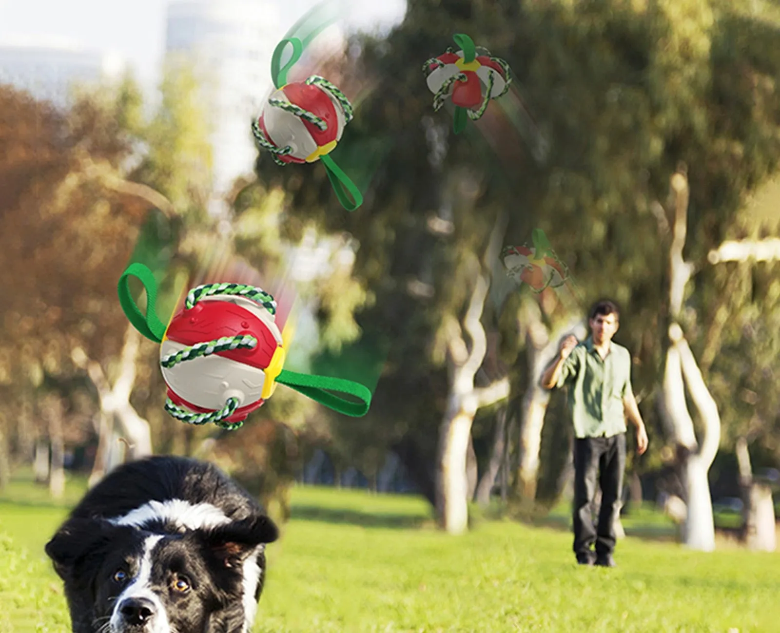 Interactive Dog Soccer Ball Toy with Durable Grab Tabs