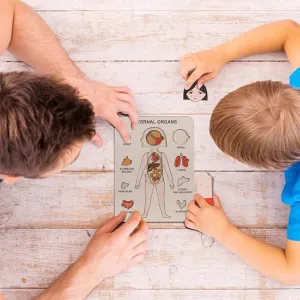 Learn The Human Body - Anatomy Wooden Puzzle