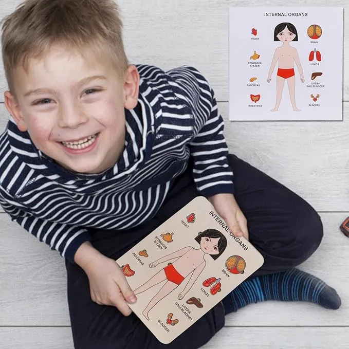 Learn The Human Body - Anatomy Wooden Puzzle