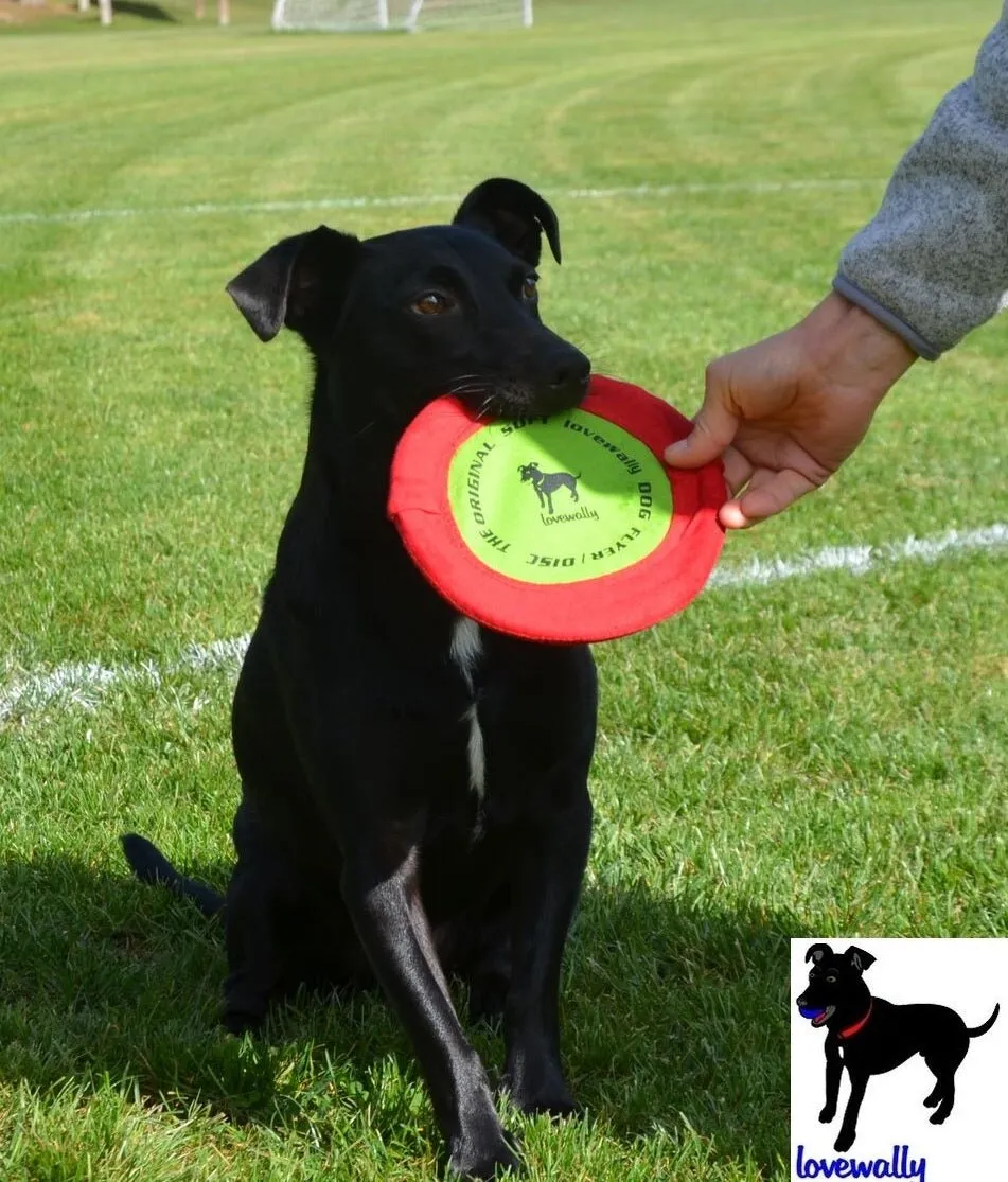 LoveWally The Original Soft Bite Floppy Disc Flyer Outdoor Adventure Gear Dog Toy