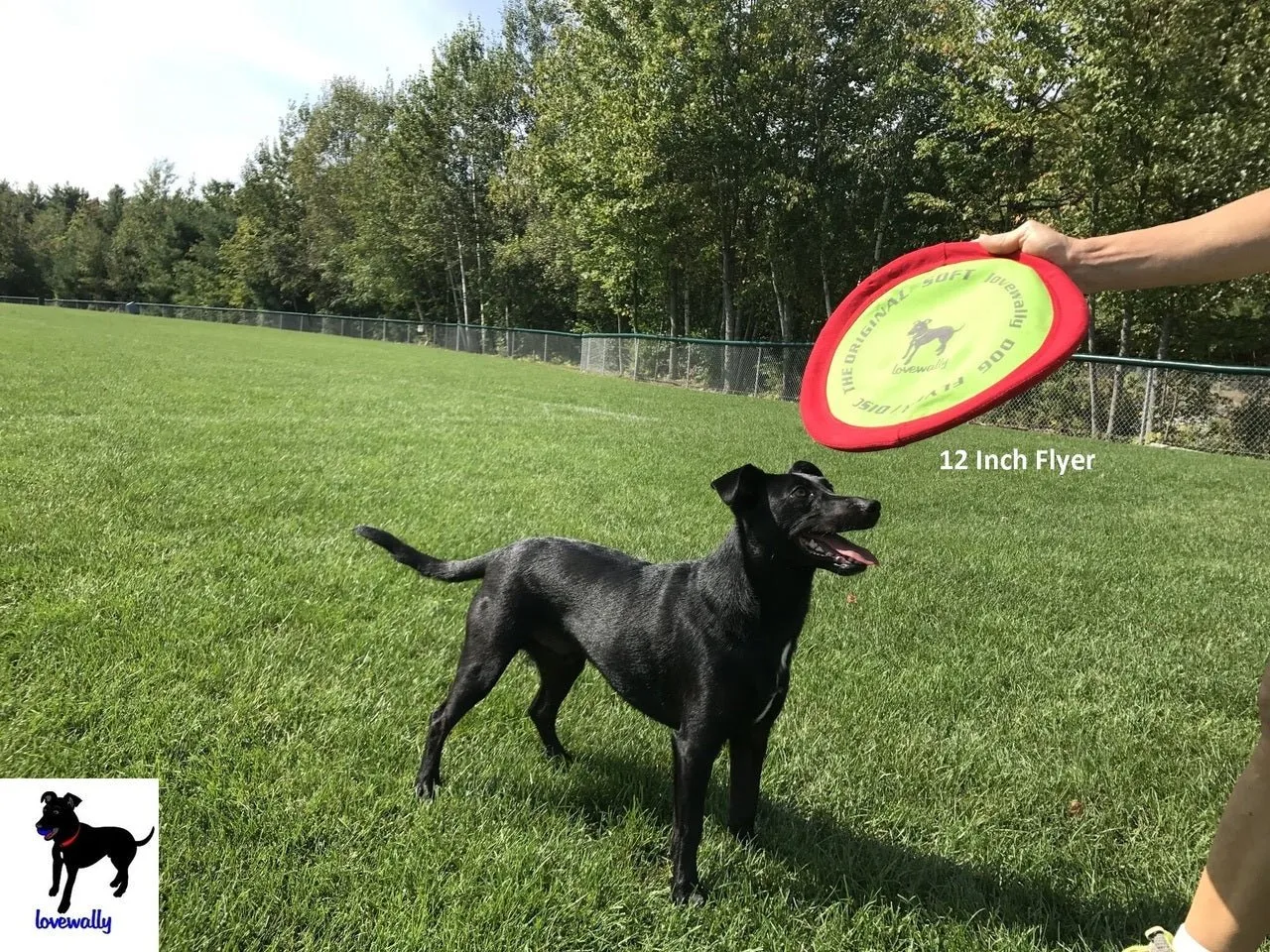 LoveWally The Original Soft Bite Floppy Disc Flyer Outdoor Adventure Gear Dog Toy