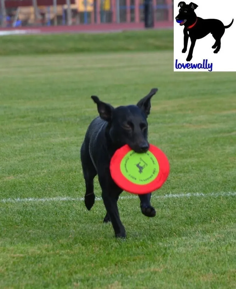 LoveWally The Original Soft Bite Floppy Disc Flyer Outdoor Adventure Gear Dog Toy