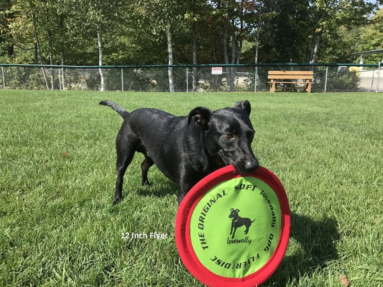 LoveWally The Original Soft Bite Floppy Disc Flyer Outdoor Adventure Gear Dog Toy