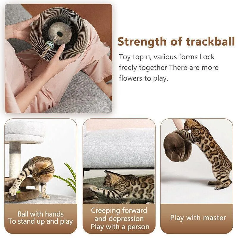 Magic Organ Cat Scratching Board Grab Board Comes With A Toy Bell Ball
