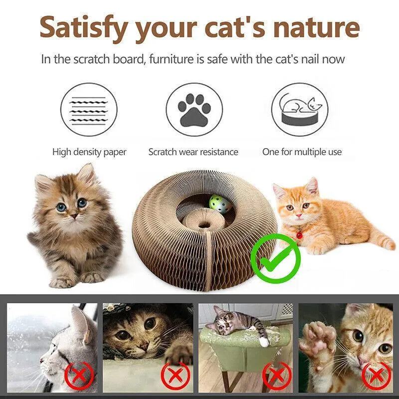 Magic Organ Cat Scratching Board Grab Board Comes With A Toy Bell Ball