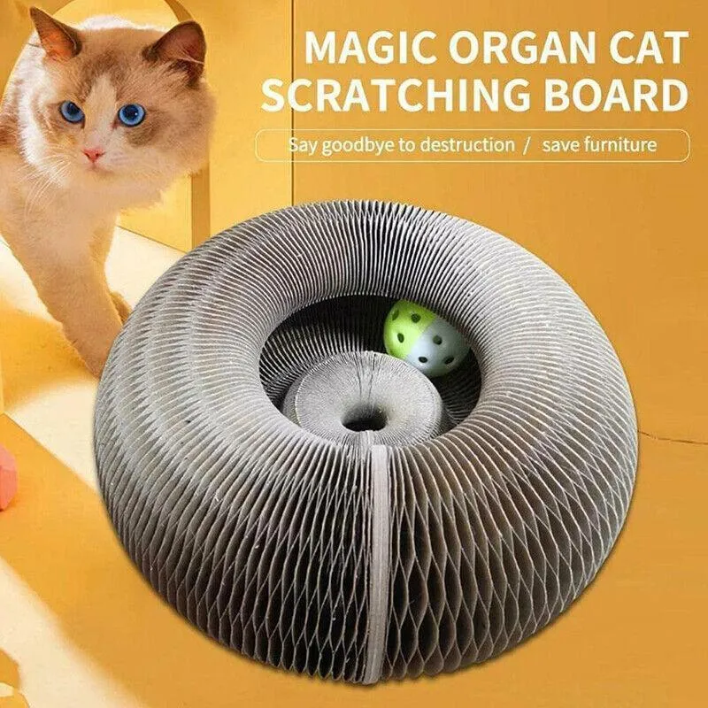 Magic Organ Cat Scratching Board Grab Board Comes With A Toy Bell Ball