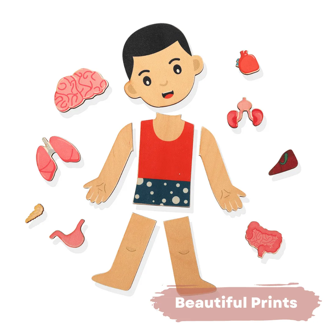Nesta Toys Wooden Human Body Anatomy Puzzle 14 Pcs - Montessori Puzzle for Preschoolers and Kids Ages 3 