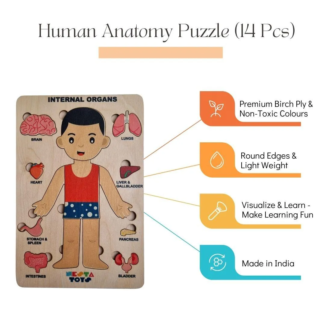 Nesta Toys Wooden Human Body Anatomy Puzzle 14 Pcs - Montessori Puzzle for Preschoolers and Kids Ages 3 