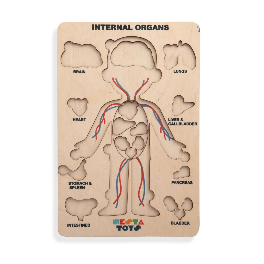 Nesta Toys Wooden Human Body Anatomy Puzzle 14 Pcs - Montessori Puzzle for Preschoolers and Kids Ages 3 