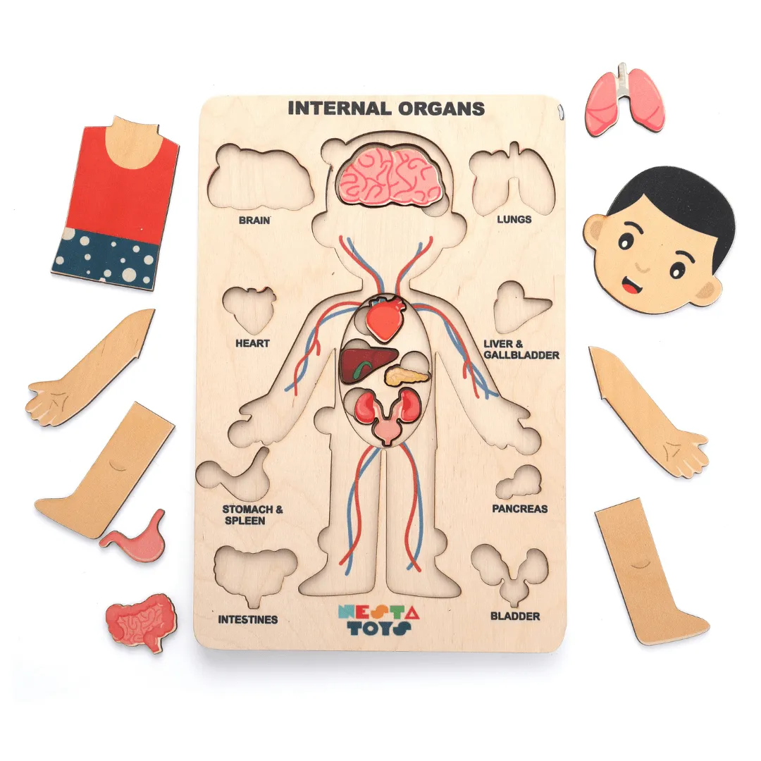 Nesta Toys Wooden Human Body Anatomy Puzzle 14 Pcs - Montessori Puzzle for Preschoolers and Kids Ages 3 