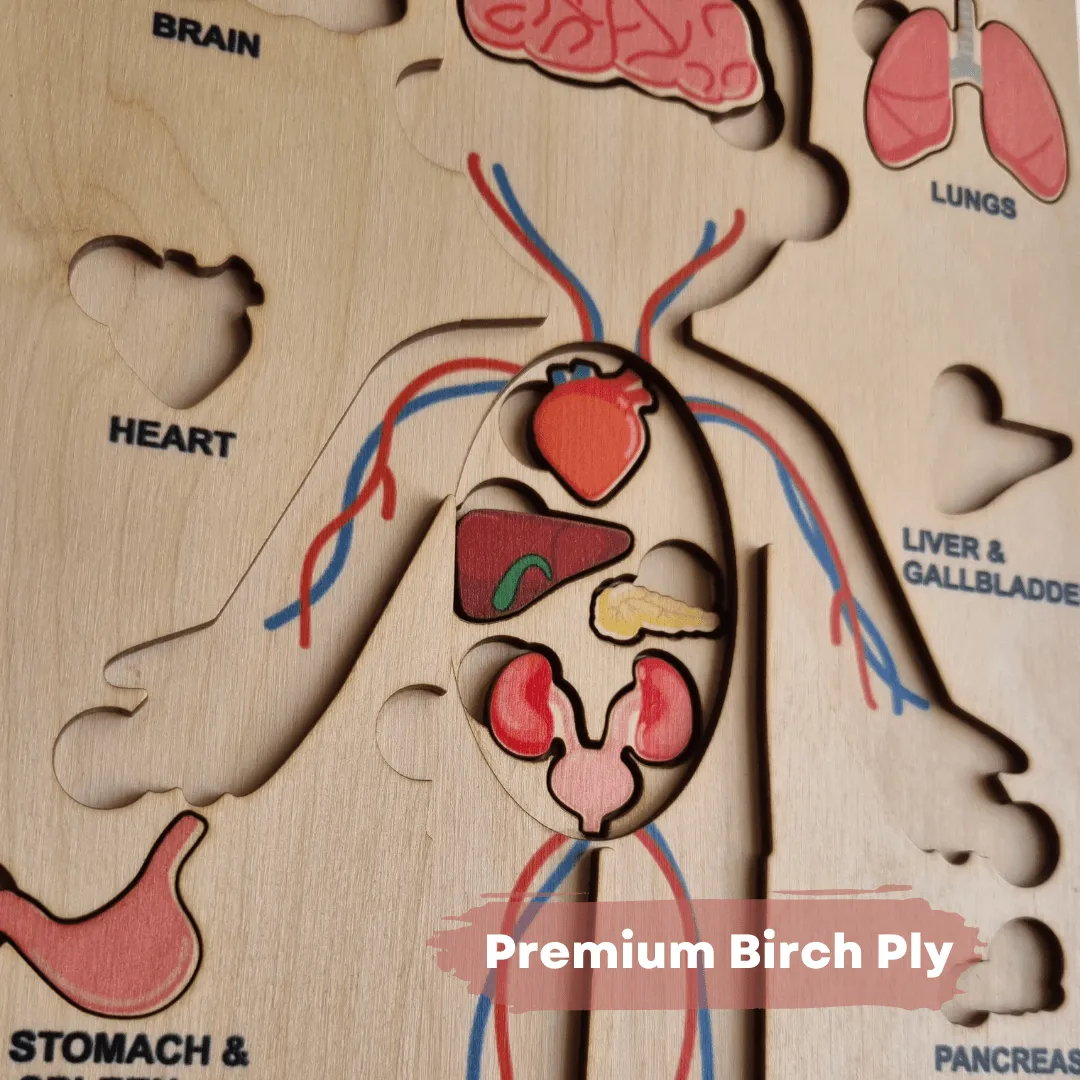 Nesta Toys Wooden Human Body Anatomy Puzzle 14 Pcs - Montessori Puzzle for Preschoolers and Kids Ages 3 
