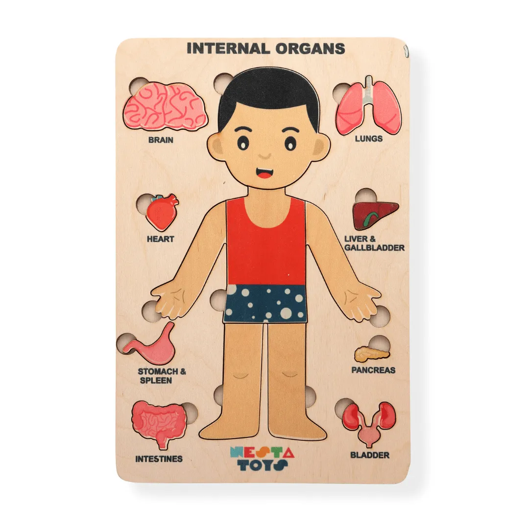 Nesta Toys Wooden Human Body Anatomy Puzzle 14 Pcs - Montessori Puzzle for Preschoolers and Kids Ages 3 