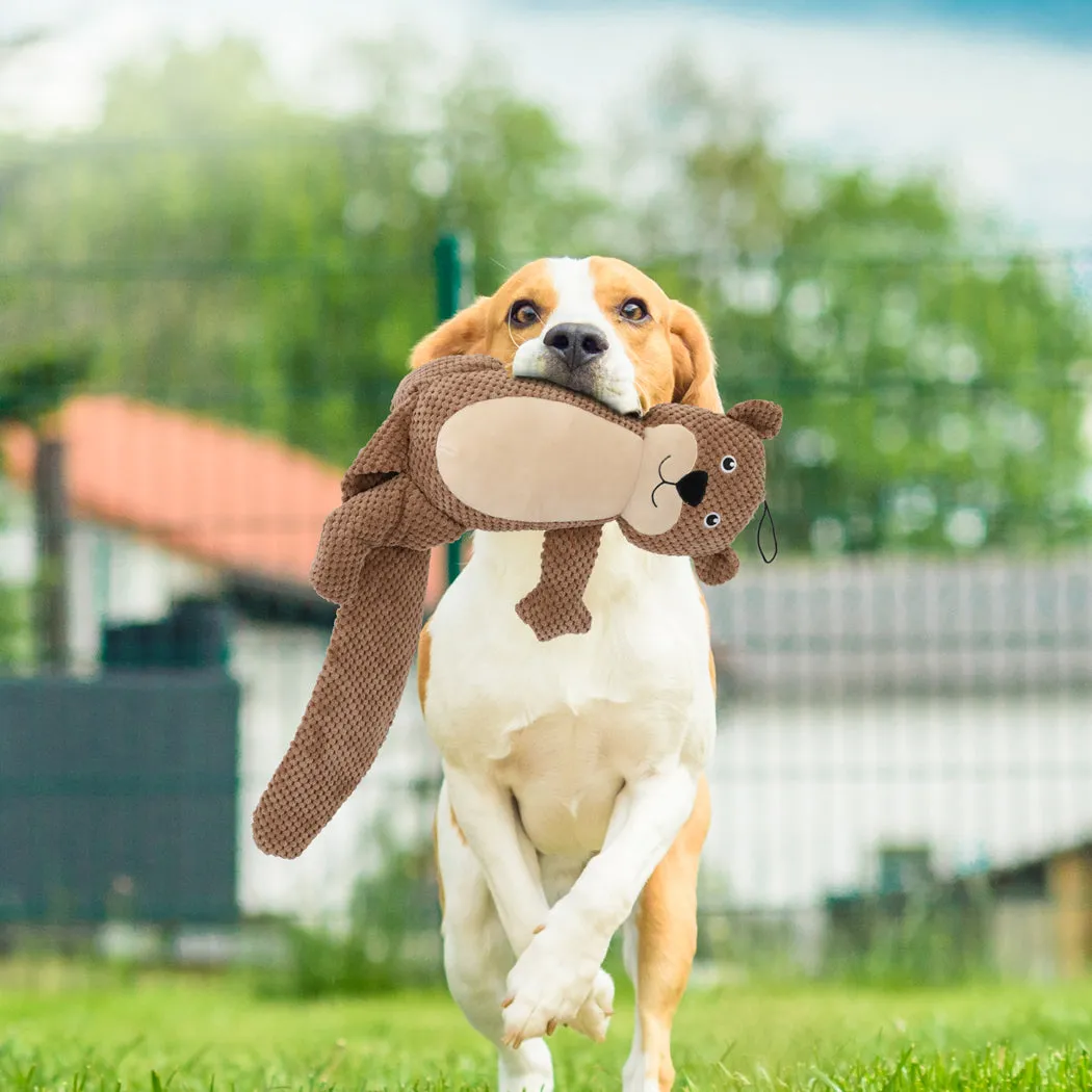 PaWz Dog Chew Toys Squeaky Puppy Pet