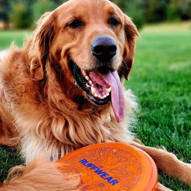 Ruffwear Camp Flyer